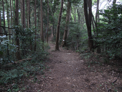 20161007hike (80)